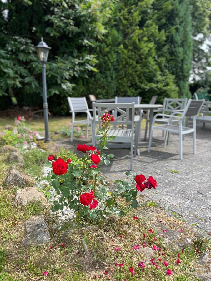 Bed and Breakfast U Vaclava Грженско Екстер'єр фото
